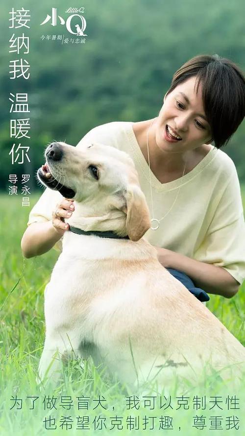 成教本科学位证号拿吗